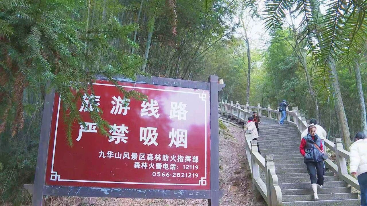 milan米兰筑牢防火屏障守护绿水青山